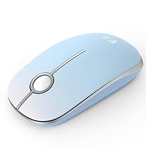 seenda Kabellose Maus, 2.4 G Silent Mouse mit USB-Empfänger, 18 Monate Akkulaufzeit, 1600 DPI Präzisions-tragbare Wireless Mouse für Windows/Mac/Linux mit USB-Anschlüssen (Blaugrün)