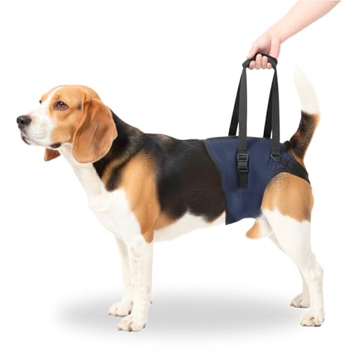 Image of A+a Pets' MAA' Male Dog Lift Support Harness for Hind /Back Legs | for Disabled Aged Injured Paralysed Arthritis (Navy, M)