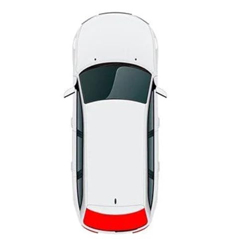 Pare soleil lunette arrière BYD Dolphin protection solaire sur mesure haut de gamme