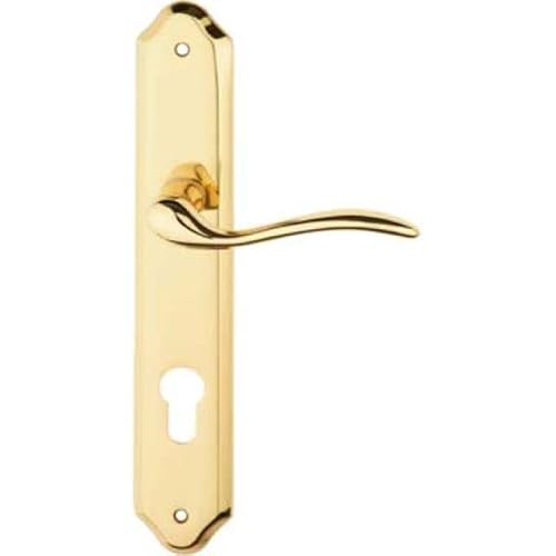Maniglia 'Minorca' Con Placca Foro Yale Oro Lucido