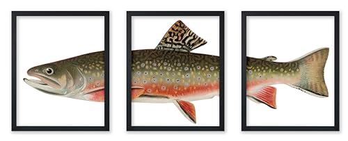 Poster Master 3-Piece Trout Fish Poster - Aquatic Print -