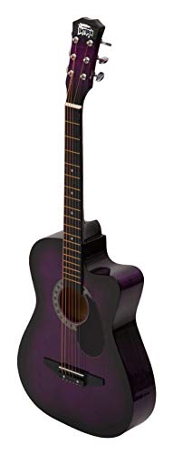 Intern 38 Inch Cutaway Acoustic Guitar Kit with Bag, Strap, Strings & Picks | Right Handed 6 String Guitar for Beginners, Adults & Students | Wooden Acoustic Guitar (Violet) - Image 4