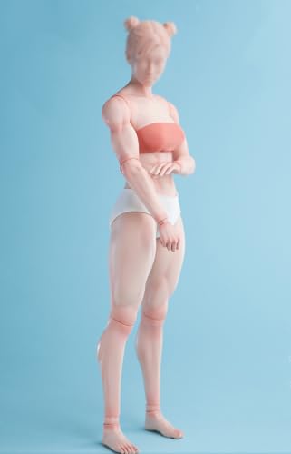 Corps flexible à échelle 1/6 AMITD Worldbox collection haute précision