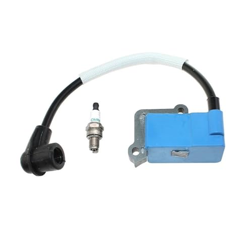 Bobine d'allumage électronique pour moteurs de souffleurs de feuilles