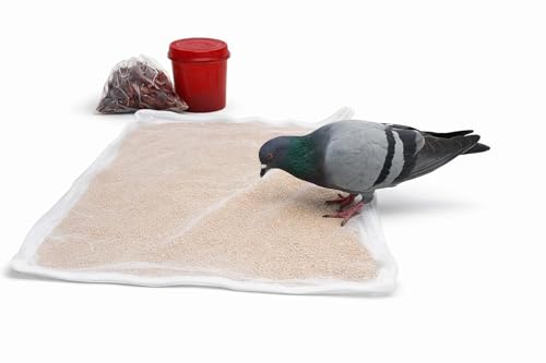 Image of SRI Balaji TEX Premium Thin Cotton Cloth with Net Cover for Drying Papad, Vadagam & Millets | Breathable, Washable & Reusable Sun-Drying Sheet | Size: 29 x 36 Inches
