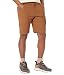 prAna Stretch Zion Shorts II Sepia 32 12