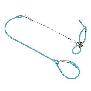 HomeSoGood Small Pet Adjustable Hamster Harness Rope Soft Harness Leash, Bell for Squirrel Guinea Pig Walking Training(blue)