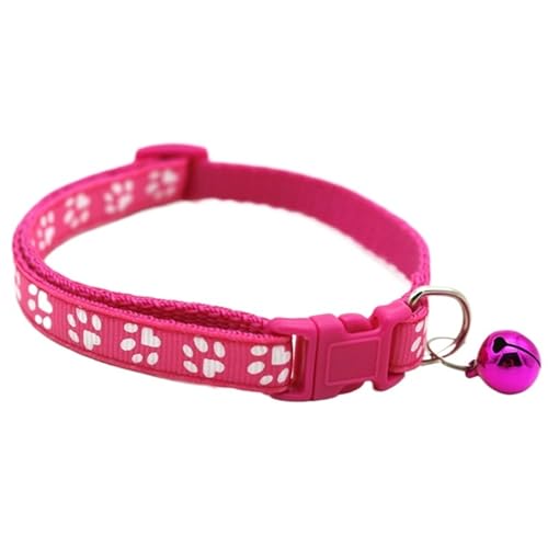 xtLp - qEqLp߉\ȃlbNX ?(Color6)