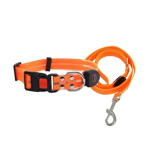 【ABABON】犬用首輪 首輪リードセット リード LEDライト付き首輪&リードセット 光る 点灯モード切替 お散歩 充電式 テープライト カラフル 発光 夜間散歩 間接照明 明るい キラキラ 長さ調節 首回り調整 脱着簡単 超小型犬 小型犬 中型犬 20
