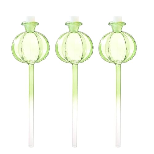 Bulbes d'arrosage automatique x3 pour plantes en pot au quotidien