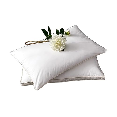 Oreiller Confortable Colonne Cervicale en Coton pour un Alignement Anatomique Parfait - 2