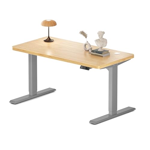 MAIDeSITe Höhenverstellbarer Schreibtisch 120x60cm - Elektrisch Schreibpult Höhenverstellbar 3-stufige mit 2 Energieeffizient‌ Motoren -Stabil & Flüsterleiser Arbeitsplätze Traglast 160kg -S