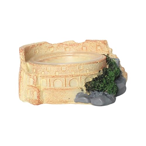 para Reptiles | Cuenco Transparente con Soporte para alimentación | para Lagarto, Accesorio de alimentación, lagartos, Serpientes, hámsters, Geckos leopardos,