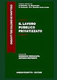  IL LAVORO PUBBLICO PRIVATIZZATO