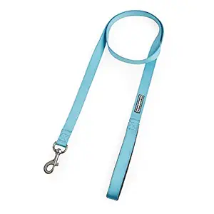 The Pawpstar Co Dog Leash by Aditya Birla New Age / Dog Walking Nylon Leash (Small, Azure Blue)
