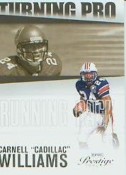 2006 Tampa Bay Buccaneers Football Card Team Lot of 40 Different Cards In Collector's including Carnell Williams, Simms, and Gradkowski