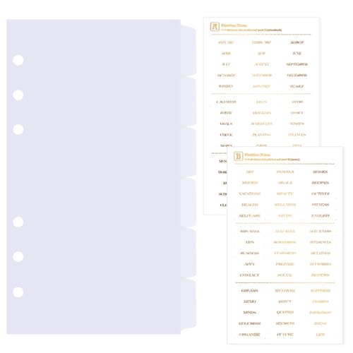 DY.2ten 6山 インデックス A6 仕切りカード 6穴 A6インデックスシート ラベル付き pp製 半透明 見出し インデックス システム手帳 バインダーノート 手帳 メモ帳 仕切りファイル 文房具 オフィス用品 約170x94mm