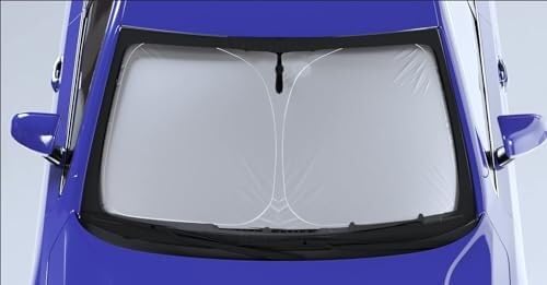 Tendine Parasole per parabrezza auto Per Peugeot Expert 2016+, colore: A/SLIVER(‎A/GRAY)