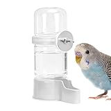 Abreuvoir Pour Cage À Oiseaux | Abreuvoir Suspendu Transparent Automatique | Perroquet D'Intérieur | Pour Perruches Calopsittes Inséparables Canaris Diamants Mandarins