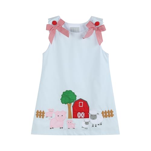 Lil cactus Light Blue Barnyard A-Line Dress, 3-6 Months