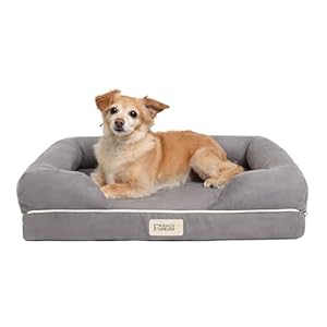 Friends Forever Small Dog Bed, Orthopedic Dog Sofa Memory Foam Mattress, Calming Dog Couch Bed, Wall Rim Pillow, Water Resistant Liner, Washable Cover, Non-Slip Bottom, Chester, Small Grey