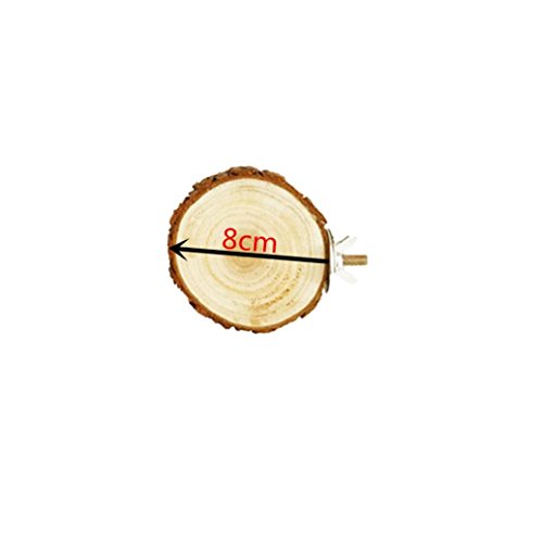 Gaddrt Wooden Parrot Platform Bird Hanging Swing Platform Parakeet Holder Hanging Organiser (S) 8cm