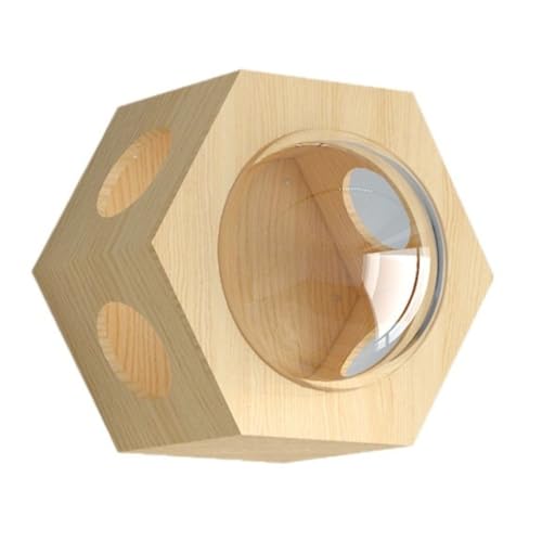 GlaucusLbgXebv   NA L FD LbgEH[N Zp`JvZt Ǖt L Lp ؐ LXebv BCS-6CS yNA^Cvz (؂̐F,50*45*23CM)