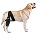 Dog Knee Leg Hip Brace for Dog ACL, Adjustable Canine Shoulder Hip Wraps Dog Arthritis Brace, Dog Leg Brace Maintains Joint Warmth, Patella Dislocation, Osteoarthritis for Back and Front Legs Size L