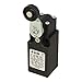 FR 654 | FR654 | PIZZATO Miniature Limit Switch with Roller Lever Actuator 1 NO + 1 NC Slow Action Contact
