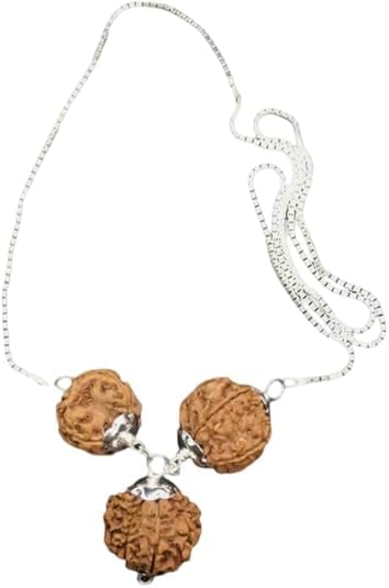 Pendentif Rudraksha Népal 4 6 8 Mukhi argent pour clarté d'esprit