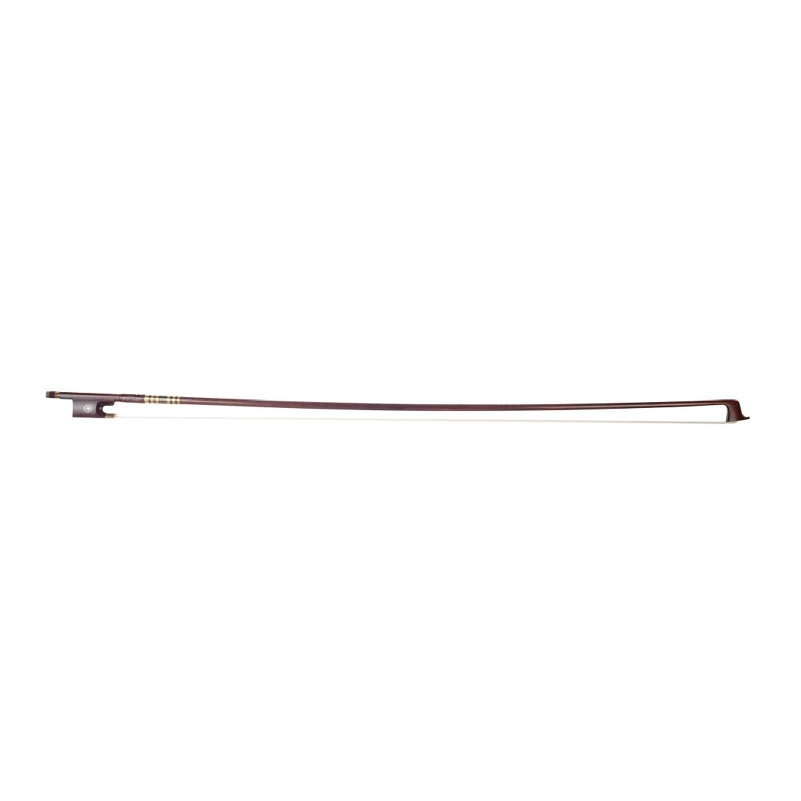 4/4 Arco for violino/violino Livello Pernambuco Rana in legno di serpente Crine di cavallo bianco