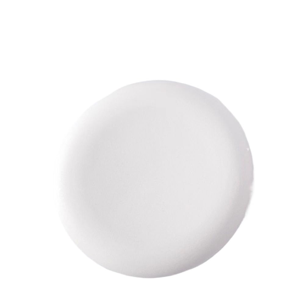 Amazon.co.jp: 精緻な皿、高級食器の芸術的発想皿、洋風フレンチ皿