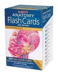 Barron's Anatomy Flash Cards 2nd (second) edition