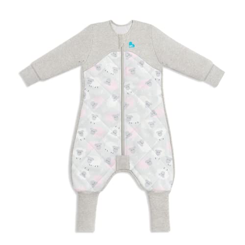 Love To Dream Sleep Suit 2.5 Tog 