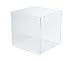Acrylic Box Case | 5 Sided Acrylic Display | Large Museum Box Case | Plexiglass Vitrine | Acrylic Cube 18