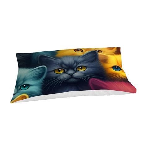 Housse de couette chatons colorés imprimé 3D microfibre animaux 135x200