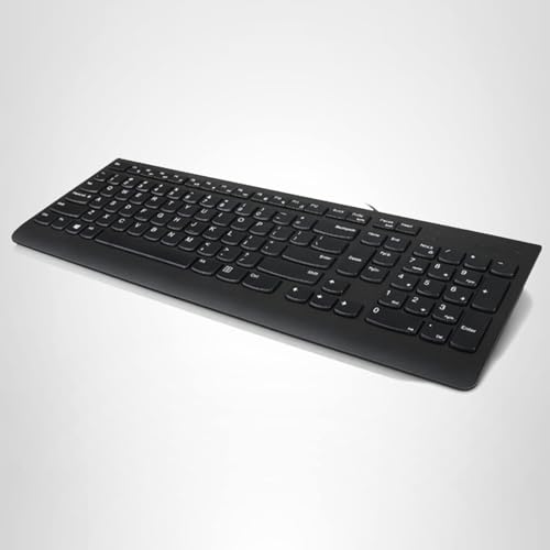 Lenovo 300 USB Keyboard, Wired, Adjustable Tilt, Ergonomic, Windows 7/8/10, GX30M39655, Black