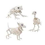 HRONG 3PCS Animal Skeleton Figurines, Plastic Skeleton Dog Crow Frog Ornaments, Halloween Decorations for Home Office Desk, Spooky Party Favors & Gifts for Men Women