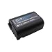 Produktbild Dot.Foto DMW-BLK22 Premium 7.2v / 2200mAh Akku für Panasonic Lumix DC-S5, S5II, S5IIX, S9, G9II, GH5, GH5II, GH5S, GH6
