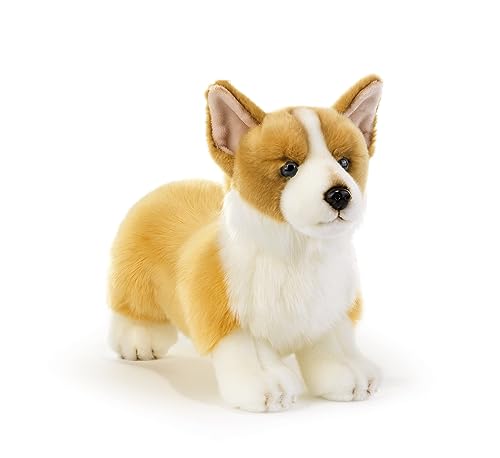 Plush & Company- Plush, 15971