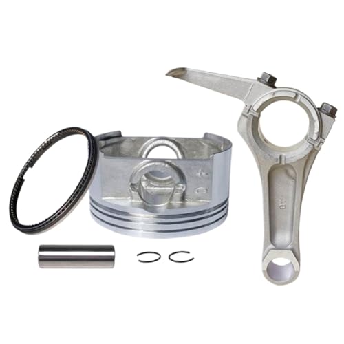 RbhsXgLbg 89 ~[gsXgOsNbvƌ݊ EX40 RGX7800 GWd@RN[gJbgIt\[