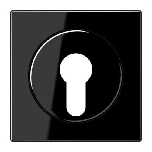 Jung LS928SW Cache pour interrupteur à clé évite usure et poussière