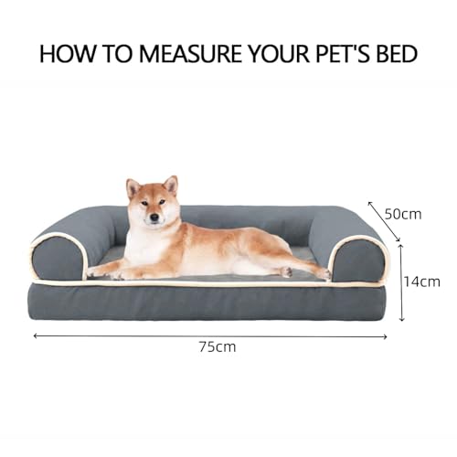 Mascotas, Pet Products Imagen adicional