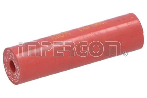 Original Imperium 224819 Condotto Valvola-Agr 60