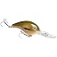 orange bream