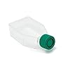 SPL Cell Culture Flask 25 cm2 T25 Plug Cap Treated, Sterile, 200/Case