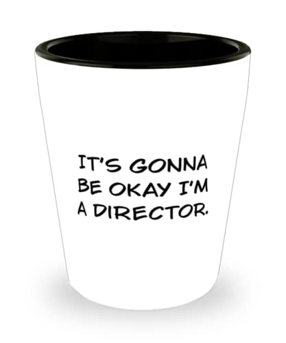 Love Director Gifts, It's Gonna Be Okay I'm a Director, Surprise Graduation Shot Glass Gifts For Friends From Coworkers, Unique director gifts, Gifts for directors, Personalized director gifts, Custom