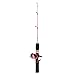 ZJchao 56cm Ice Fishing Rod Reel Combo, Ice Fishing Gear Set with Line and Hooks, for Outdoor Enthusiasts
