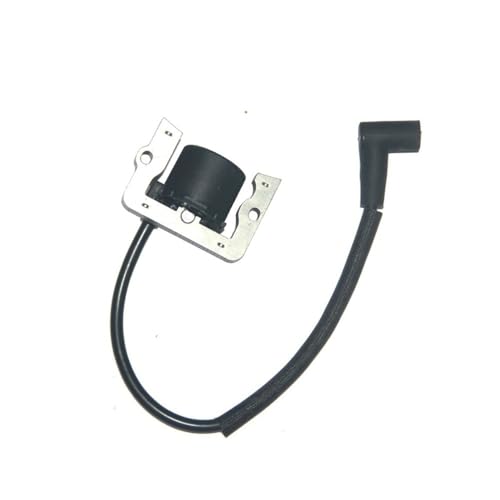 Bobine d'allumage pour moteur M16 afin de tondre la pelouse sans panne de réveil