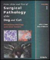 What do skin tumors look like on dogs